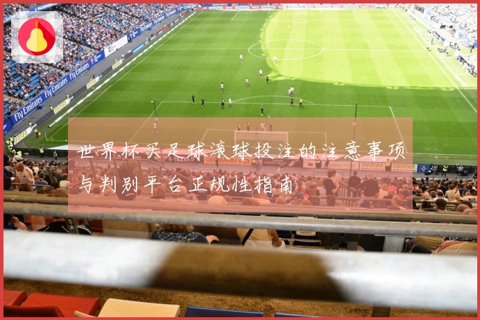世界杯买足球滚球投注的注意事项与判别平台正规性指南